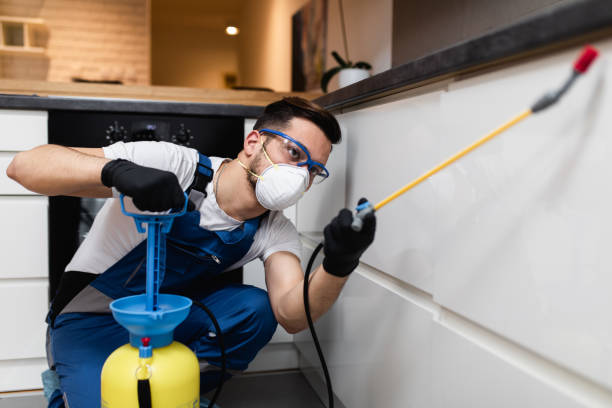 Best Pest Control Near Me  in Jessup, PA