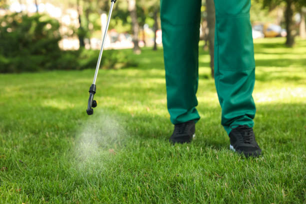 Best Emergency Pest Control  in Jessup, PA
