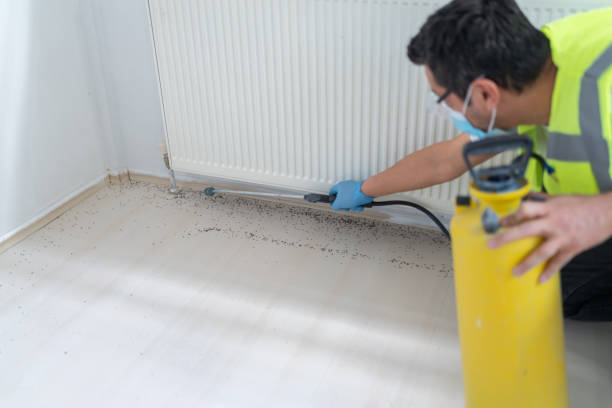 Best Residential Pest Control  in Jessup, PA